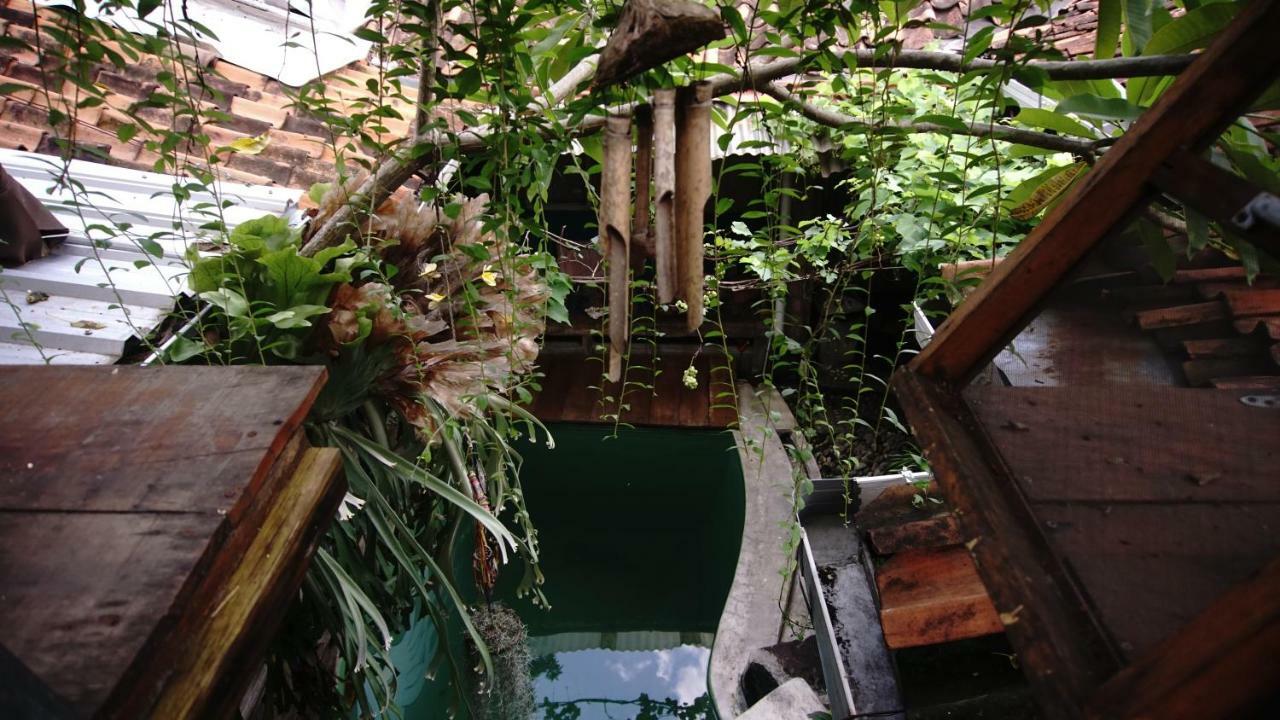 Abrakadabra! Artbnb Tempat Tidur & Sarapan Yogyakarta